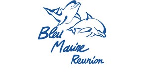 Bleu marine